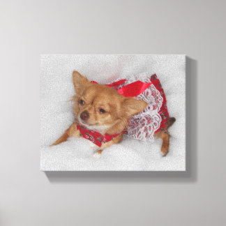 Em Tela impressão dressy chihuahua