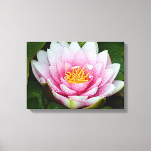 Em Tela Impressão floral lírio de água rosa