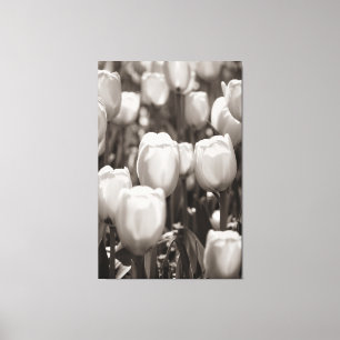 Em Tela Impressão fotográfico de tulipas vermelhas. impr