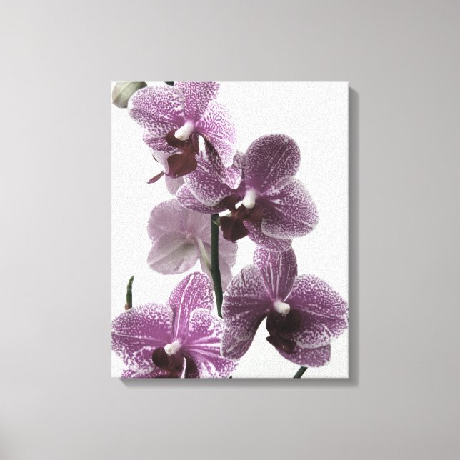 Em Tela Impressão Orquídea (Frente)