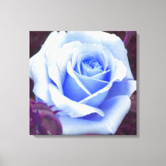 Em Tela Impressão Rosa azul bebê (Frente)
