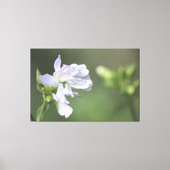 Em Tela Impressão Verde-Oliva (Frente)