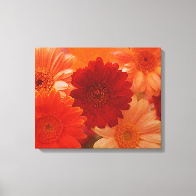 Em Tela Laranja Daisy Flower Photo Wall Art Impressão (Frente)
