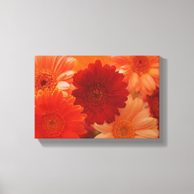 Em Tela Laranja Daisy Flower Photo Wall Art Impressão (Frente)