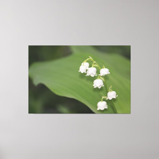 Em Tela Lily Of The Valley Impressão (Frente)