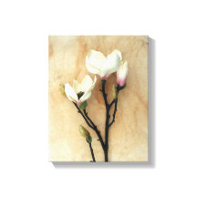 Magnolia floral impressão impressão