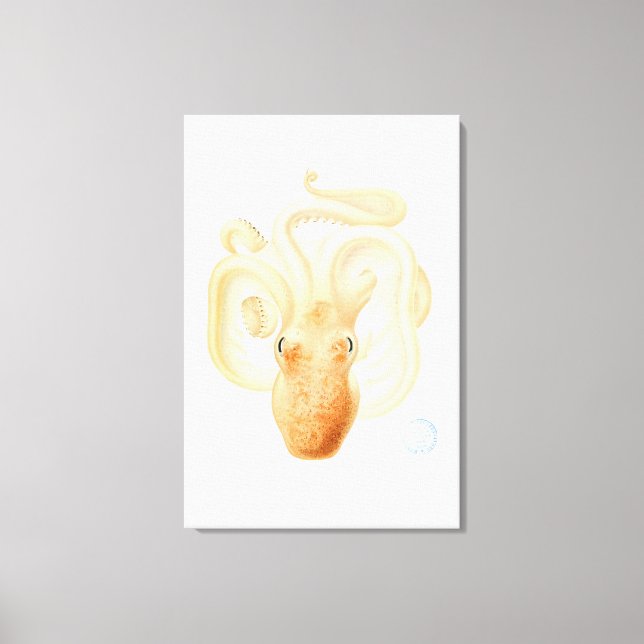 Em Tela polvo impressão (Frente)