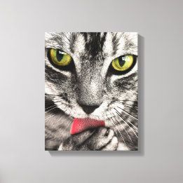 Em Tela Retrato de Gato Bonito. Personalizar impressão de 