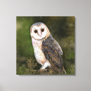 Em Tela Western Barn Owl - Impressão a Aquarela 