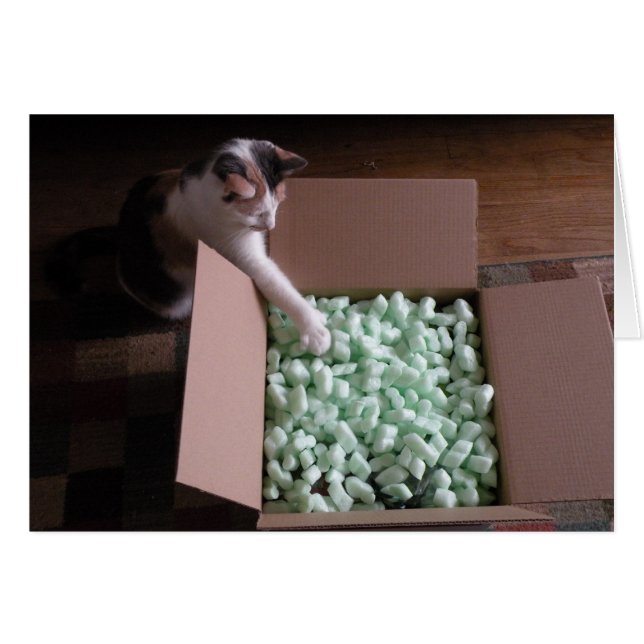 Embalado com cartão - gato (Frente horizontal)