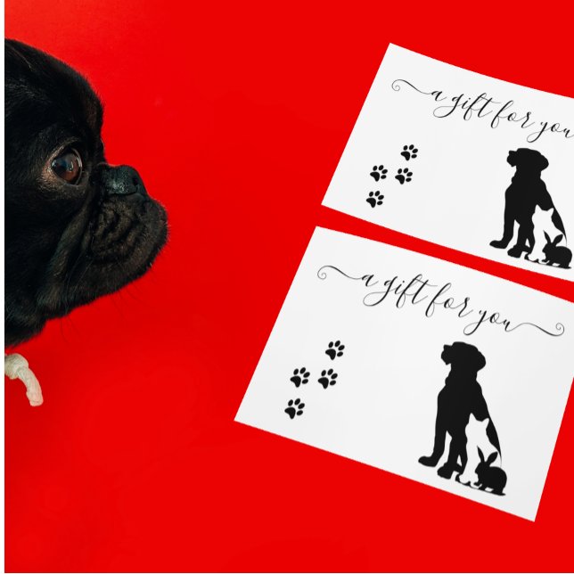 Embarque Veterinário Pet Veterinario com Certifica (Criador carregado)