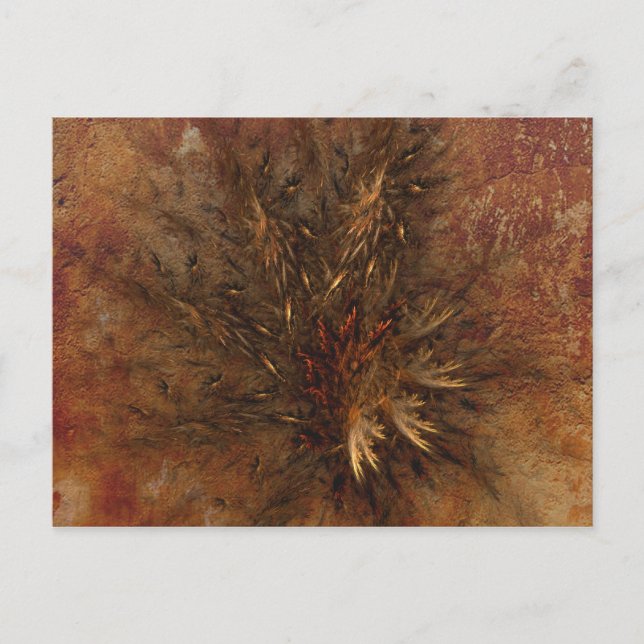 Embrulhando Cartões postais Fractais da Natureza (Frente)