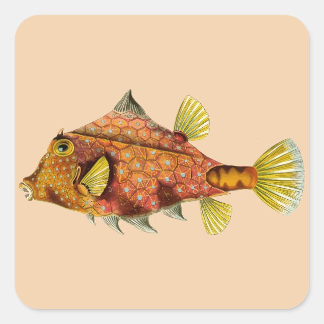 embrulho de peixe personalize-me os adesivos (Frente)