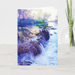 embuste de água do cartão memorial