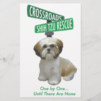 Emergência Crossroad ShihTzu