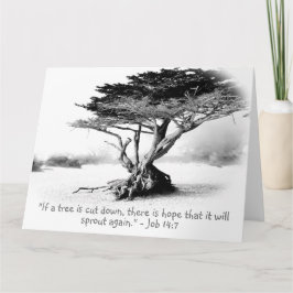 EMPREGO 14:7 Cartão de Saudação de Grande Dobragem