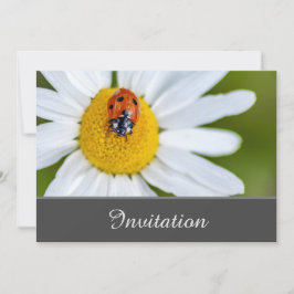 Encantando Cartão de Convite com sorte Ladybug