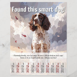 Encontrado um folheto destacável de Spaniel