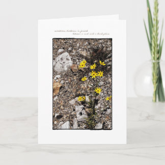 Encontrando o cartão de nota da bondade