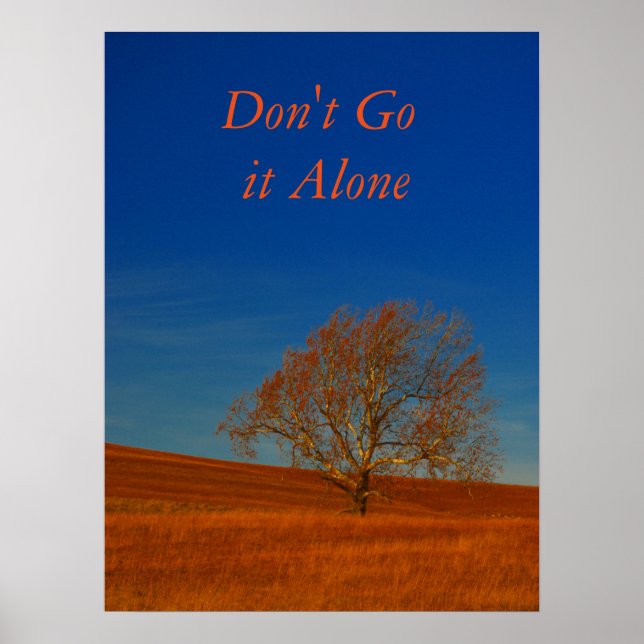 Encontrar Poster de suporte (Frente)