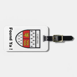 Encontre Minha Bagagem Etiqueta de Identificação P