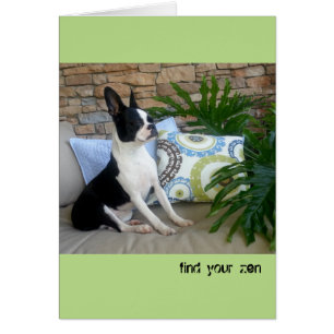 Encontre seu zen - CARTÃO VAZIO Lola B. Boston