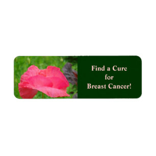 Encontre uma Cura para Cancer de Mama! Etiquetas