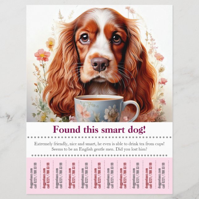 Encontrei um folheto de cão Cocker Spaniel Inglês  (Frente)