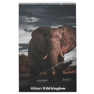 Encontros no Reino Selvagem da África, Calendário