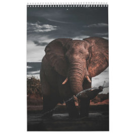 Encontros no Reino Selvagem de África, Calendário