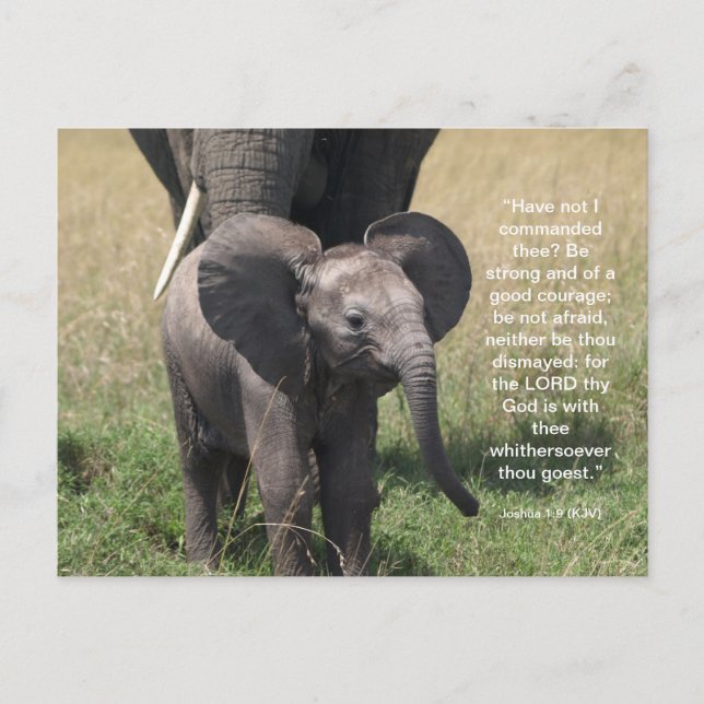 Encorajando o cartão postal Verso da Bíblia (Frente)