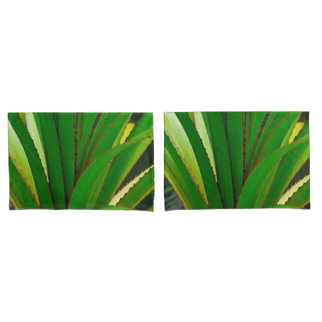 Encosto do parafuso (Frente - conjunto)