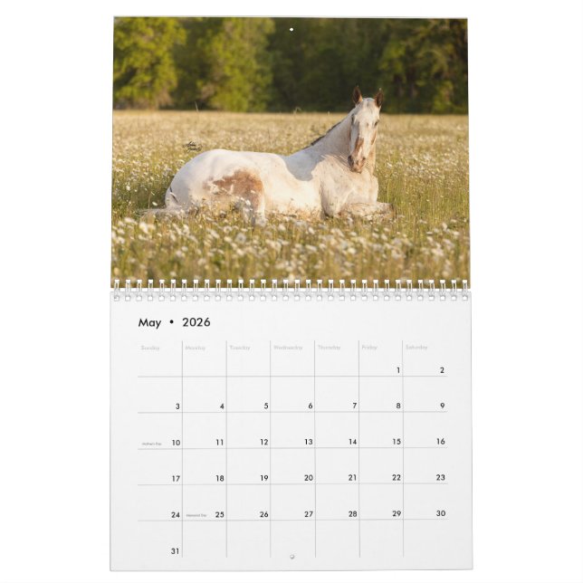 Endo O Calendário Cego 2023 (Maio 2026)