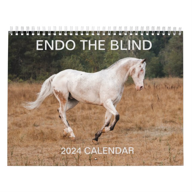ENDO O CEGO - Calendário 2024 (Capa)