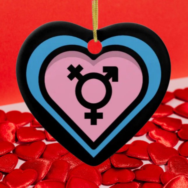 Enfeite Coração do Orgulho Trans (Criador carregado)