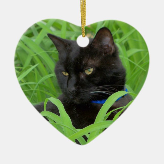 Enfeite de Aniversário Gato Preto de Bombaim (Frente)