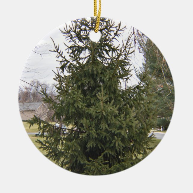 Enfeite de Árvore de Natal (Frente)