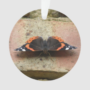 Enfeite de Borboleta Almirante Vermelho