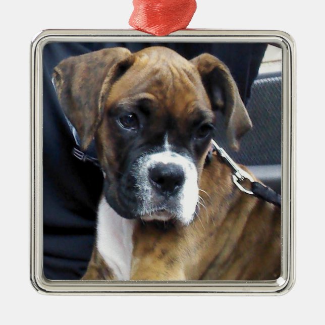 enfeite de cachorrinho BOXER (Frente)