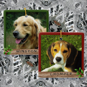 Enfeite de Cerâmica com Nomes e Fotos de Animais d