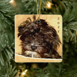 Enfeite de Cerâmica Schnoodle
