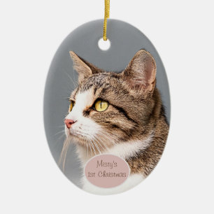 Enfeite de estimação de gato personalizado