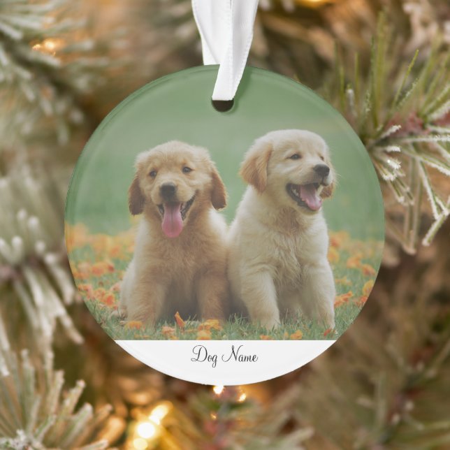 Enfeite de Foto com Nome de Cachorro Personalizado (Árvore)