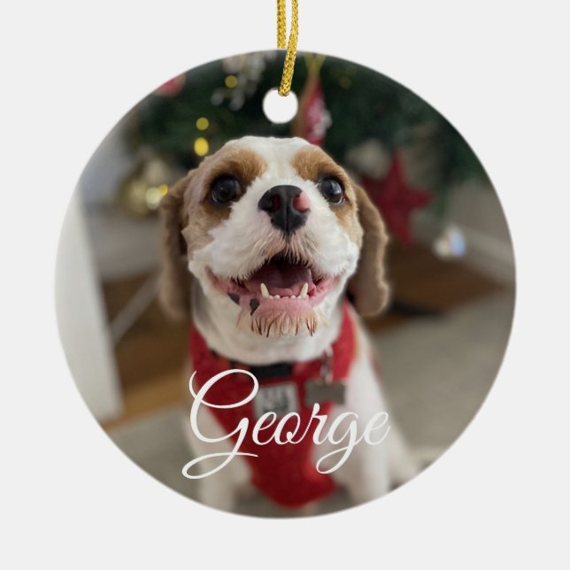 Enfeite de Foto de Animal de Estimação Personaliza (Frente)