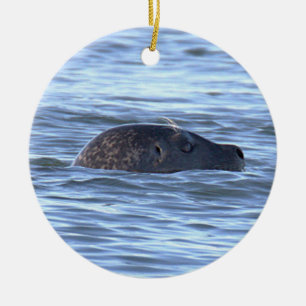 Enfeite de Foto de Foca