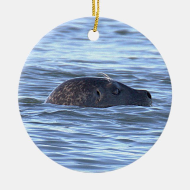 Enfeite de Foto de Foca  (Frente)