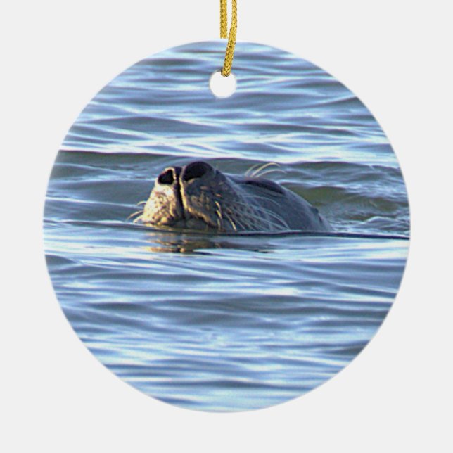 Enfeite de Foto de Foca  (Frente)