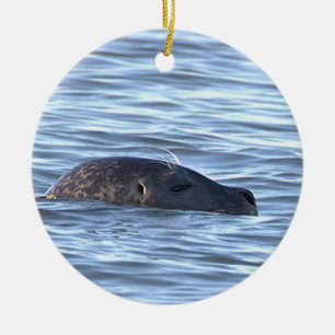 Enfeite de Foto de Foca