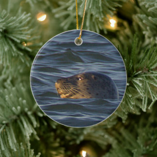 Enfeite de Foto de Foca 