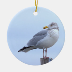 Enfeite de Foto de Gaivota